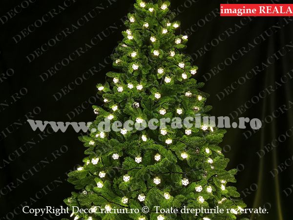Instalatie luminoasa Craciun exterior 100 fulgi de zapada lumina calda