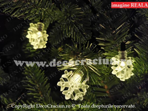 Instalatie luminoasa Craciun exterior fulgi de zapada leduri lumina calda