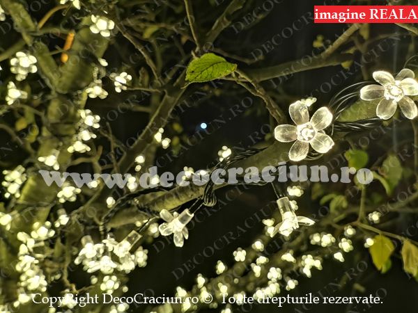 Instalatie luminoasa brad craciun exterior leduri alb cald