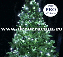 Instalatie lumini craciun exterior 18m leduri alb rece cablu negru cauciucat