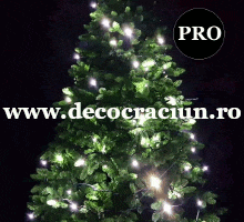 Instalatie lumini craciun exterior 18m leduri albe efect flash cablu negru cauciucat