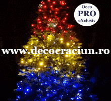 Instalatie brad Craciun exterior leduri tricolor 45m