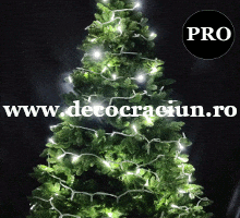 Instalatie Craciun exterior leduri albe efect flash 18m conectabila
