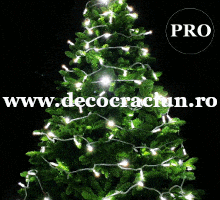 Instalatie lumini Craciun 6m lungime leduri alb rece (FARA cablu alimentare)
