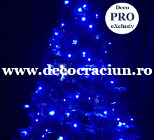 Instalatie lumini Craciun 6m lungime leduri albastre (FARA cablu alimentare)