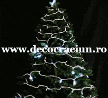 Instalatie lumini Craciun exterior 120 leduri albe efect stroboscopic